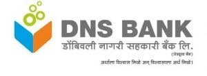DNS Bank Logo